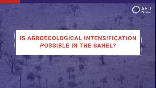 Is agroecological intensification possible in the Sahel?